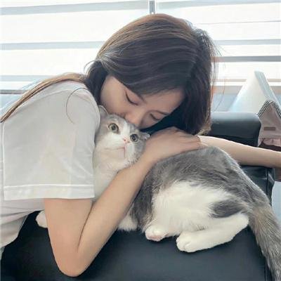 屋顶里的散步者